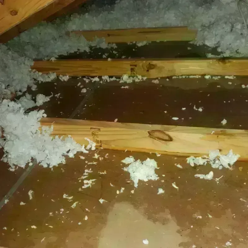 Attic Water Damage in Sunriver, OR